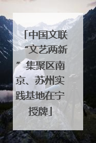 中国文联“文艺两新”集聚区南京、苏州实践基地在宁授牌