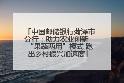 中国邮储银行菏泽市分行：助力农业创新 “果蔬两用”模式 跑出乡村振兴加速度