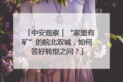 中安观察｜“家里有矿”的皖北双城，如何答好转型之问？