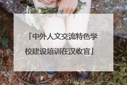 中外人文交流特色学校建设培训在汉收官