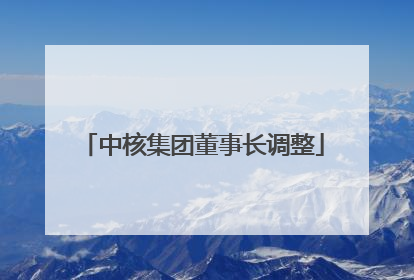 中核集团董事长调整