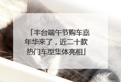 丰台端午节购车嘉年华来了，近二十款热门车型集体亮相