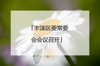 丰泽区委常委会会议召开