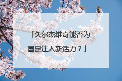 久尔杰维奇能否为国足注入新活力？
