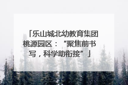 乐山城北幼教育集团桃源园区：“聚焦前书写，科学助衔接”