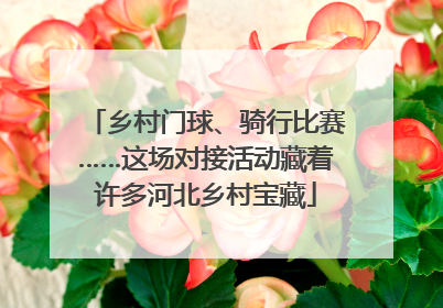 乡村门球、骑行比赛……这场对接活动藏着许多河北乡村宝藏