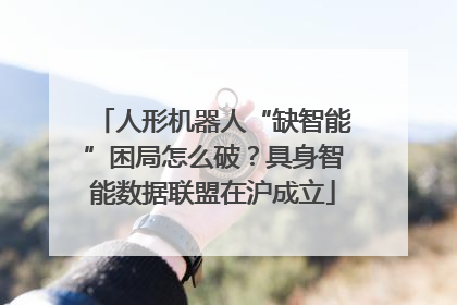 人形机器人“缺智能”困局怎么破？具身智能数据联盟在沪成立