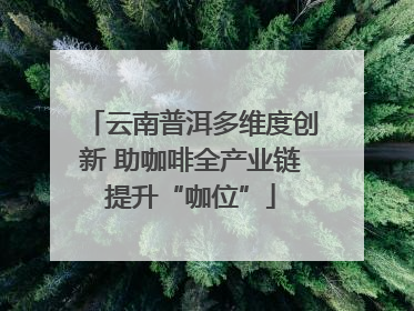 云南普洱多维度创新 助咖啡全产业链提升“咖位”