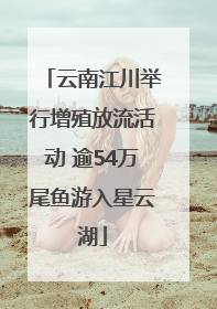 云南江川举行增殖放流活动 逾54万尾鱼游入星云湖