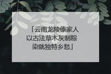 云南龙陵傣家人以古法草木灰制粽 染就独特乡愁