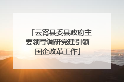 云霄县委县政府主要领导调研党建引领国企改革工作