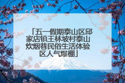 五一假期泰山区邱家店镇王林坡村泰山炊烟巷民俗生活体验区人气爆棚