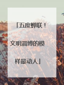 五度蝉联！文明淄博的模样最动人
