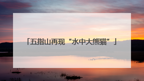 五指山再现“水中大熊猫”