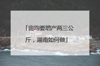 亩均要增产两三公斤，湖南如何做