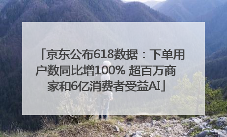 京东公布618数据：下单用户数同比增100% 超百万商家和6亿消费者受益AI