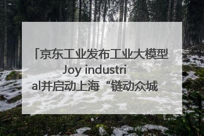 京东工业发布工业大模型Joy industrial并启动上海“链动众城 万亿降本”计划
