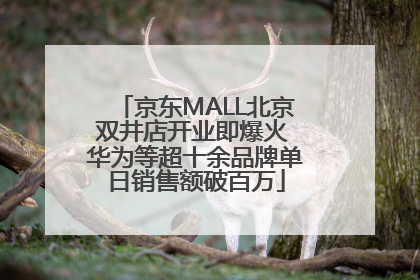 京东MALL北京双井店开业即爆火 华为等超十余品牌单日销售额破百万