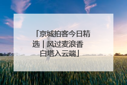 京城拍客今日精选｜风过麦浪香 白塔入云端