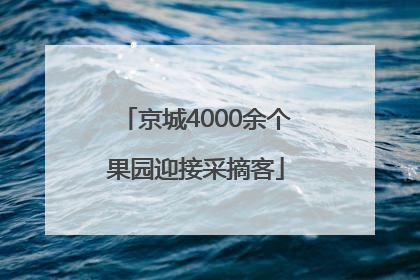 京城4000余个果园迎接采摘客