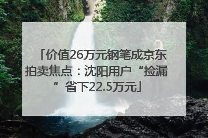 价值26万元钢笔成京东拍卖焦点：沈阳用户“捡漏”省下22.5万元
