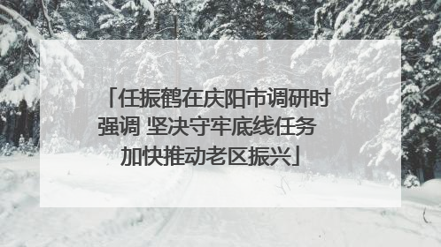 任振鹤在庆阳市调研时强调 坚决守牢底线任务 加快推动老区振兴