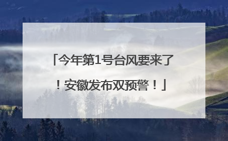 今年第1号台风要来了！安徽发布双预警！