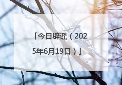 今日辟谣（2025年6月19日）