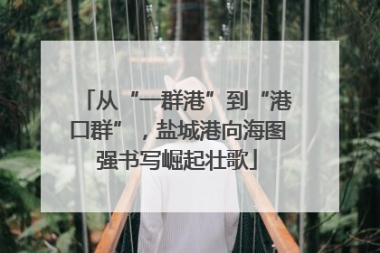 从“一群港”到“港口群”，盐城港向海图强书写崛起壮歌