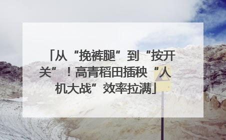 从“挽裤腿”到“按开关”！高青稻田插秧“人机大战”效率拉满
