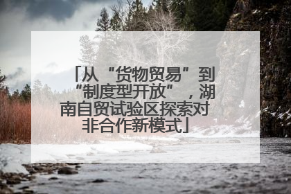 从“货物贸易”到“制度型开放”，湖南自贸试验区探索对非合作新模式