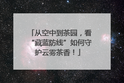 从空中到茶园，看“藏蓝防线”如何守护云雾茶香！