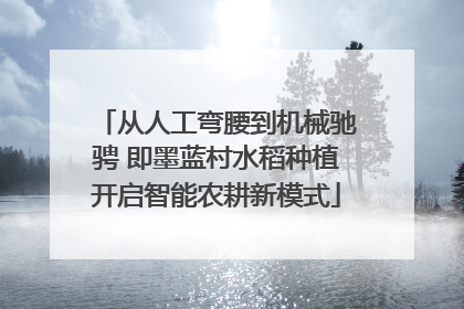 从人工弯腰到机械驰骋 即墨蓝村水稻种植开启智能农耕新模式