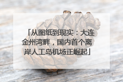 从图纸到现实：大连金州湾畔，国内首个离岸人工岛机场正崛起
