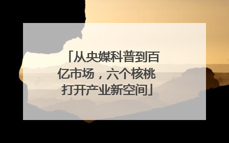 从央媒科普到百亿市场，六个核桃打开产业新空间