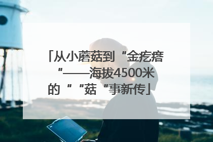 从小蘑菇到“金疙瘩“——海拔4500米的““菇“事新传