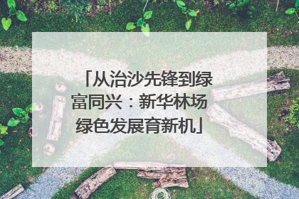 从治沙先锋到绿富同兴：新华林场绿色发展育新机