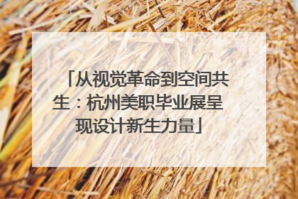 从视觉革命到空间共生：杭州美职毕业展呈现设计新生力量