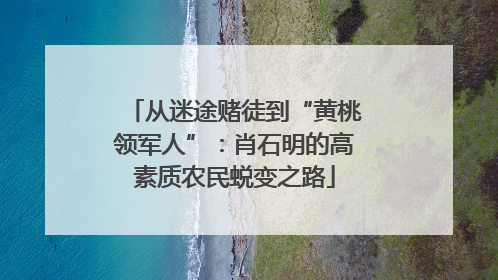 从迷途赌徒到“黄桃领军人”：肖石明的高素质农民蜕变之路
