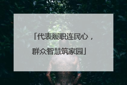 代表履职连民心，群众智慧筑家园