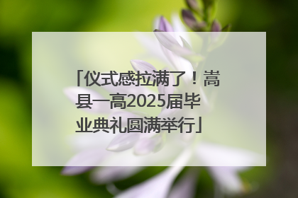 仪式感拉满了！嵩县一高2025届毕业典礼圆满举行