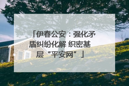 伊春公安：强化矛盾纠纷化解 织密基层“平安网”