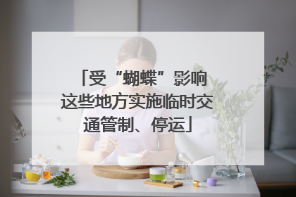 受“蝴蝶”影响 这些地方实施临时交通管制、停运
