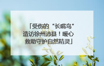 受伤的“长嘴鸟”造访徐州沛县！暖心救助守护自然精灵