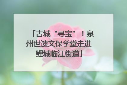 古城“寻宝”！泉州世遗文保学堂走进鲤城临江街道
