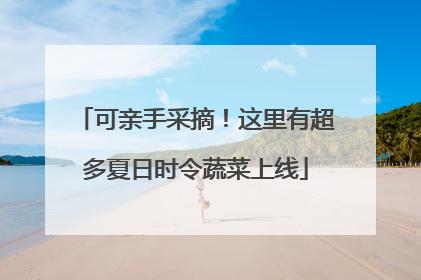 可亲手采摘！这里有超多夏日时令蔬菜上线
