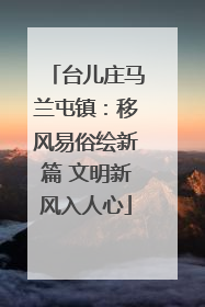台儿庄马兰屯镇：移风易俗绘新篇 文明新风入人心