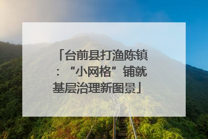 台前县打渔陈镇：“小网格”铺就基层治理新图景