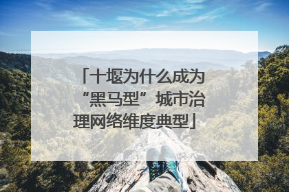 十堰为什么成为“黑马型”城市治理网络维度典型
