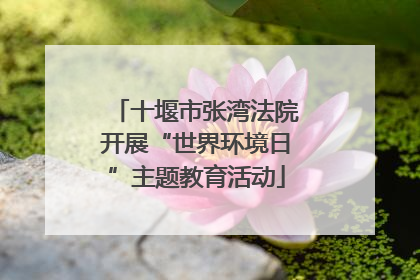 十堰市张湾法院开展“世界环境日”主题教育活动